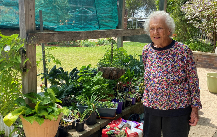 Brenda transformed her Clontarf social housing complex into a vibrant and thriving garden