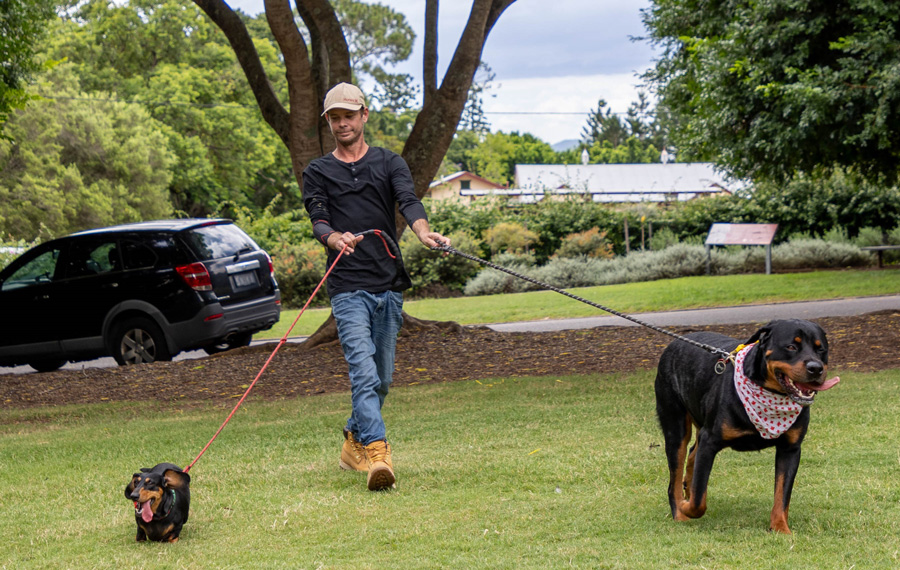 Kym and his dogs secure a rental after spending months sleeping in his car